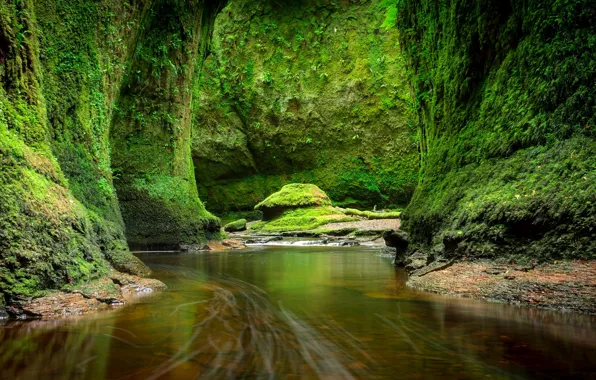 Greens, stream, stones, rocks, moss, Scotland, Craighat