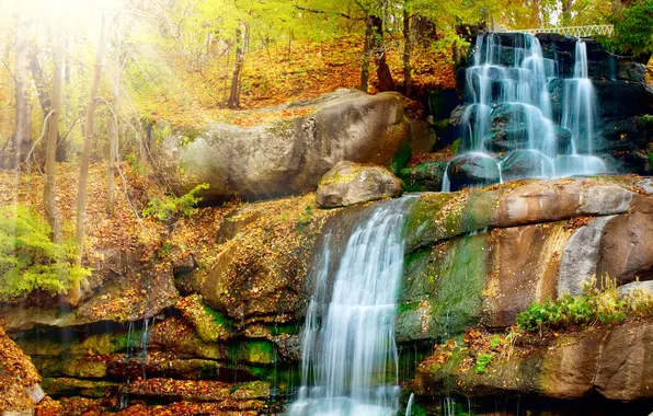 Autumn, forest, leaves, rays, light, trees, rocks, waterfall