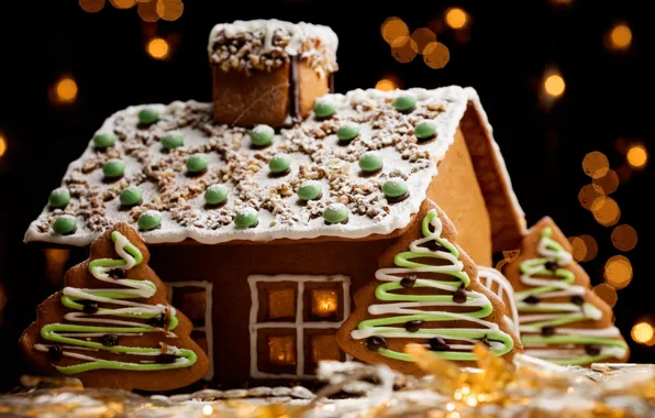 House, holiday, Christmas, New year, decoration, biscuit