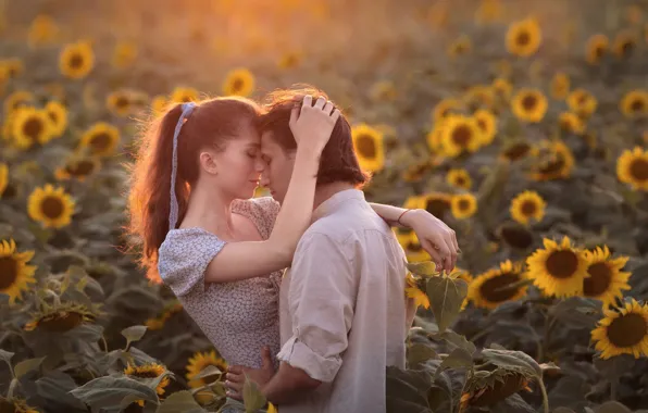 Field, summer, girl, love, sunflowers, flowers, hugs, pair