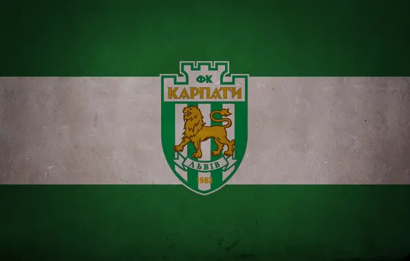 Picture lions, football club, Carpathians, lions, karpaty, lviv