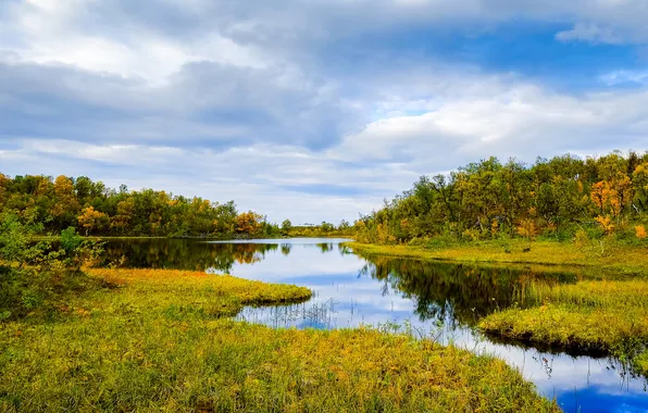 The sky, grass, water, clouds, trees, reflection, Norway, river