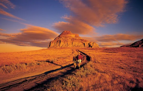 Picture road, nature, the evening, two