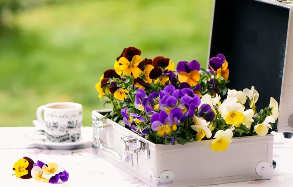 Flowers, table, Cup, case, violet