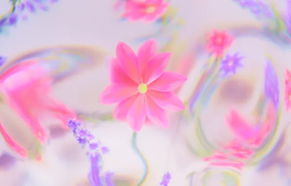 Picture Abstract, flower, floral, abstract, Dreamy, Dreamy