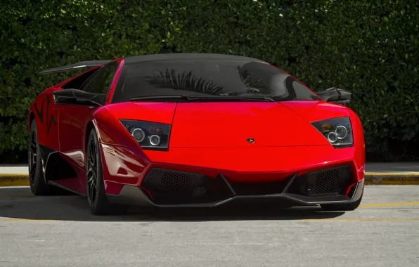 Picture red, lamborghini, murcielago