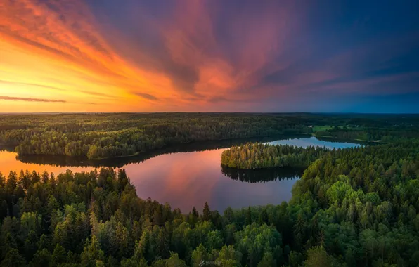 Picture forest, the sky, sunset, lake, river