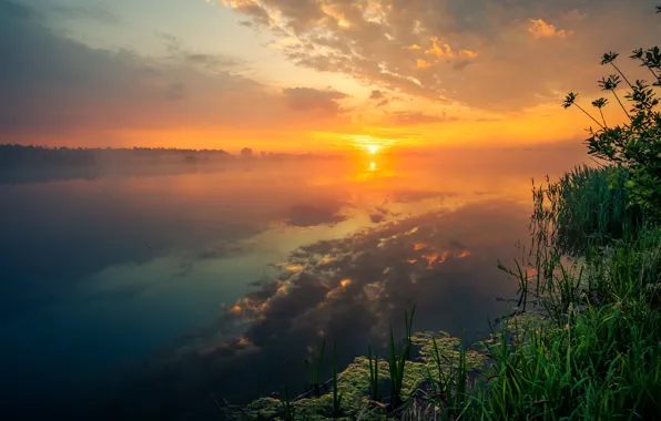 Picture grass, the sun, clouds, sunset, fog, lake, reflection, dawn