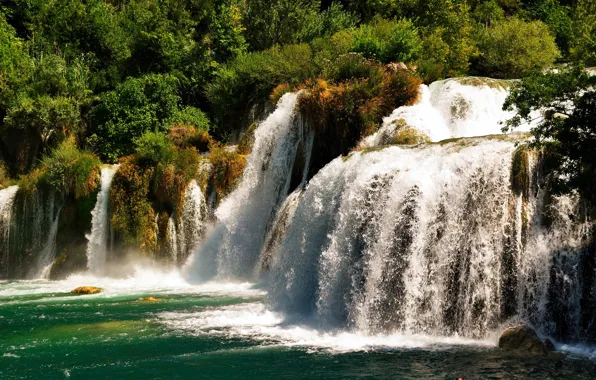 Waterfall, stream, the bushes