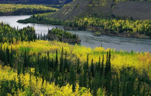 Picture river, yukon, river