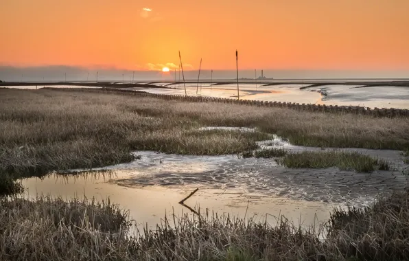 Picture sea, sunset, shore