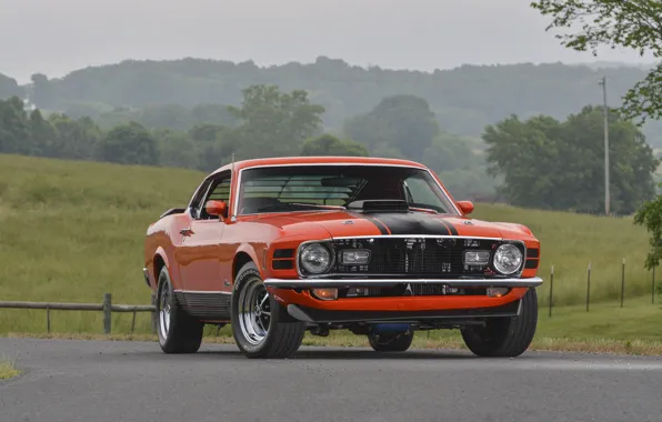 Picture Mustang, Ford, Mustang, Ford, 1970, Mach 1, 428, Super Cobra Jet