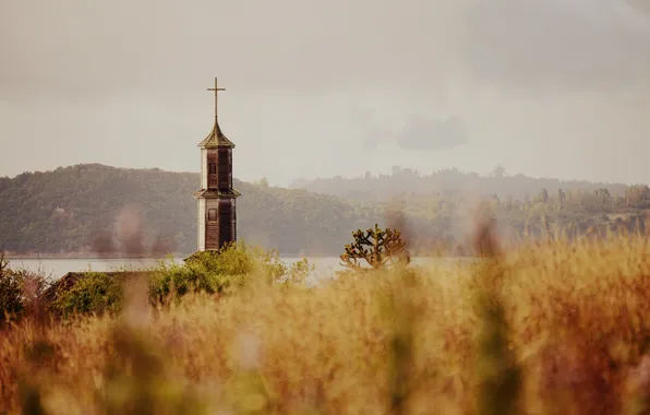 Picture grass, lake, tower, cross, hill, Church