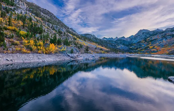 Autumn, forest, nature, lake, reflection