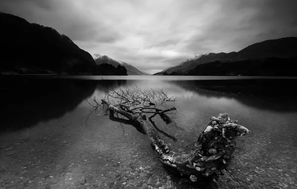 Forest, trees, landscape, mountains, nature, river, stones, photo
