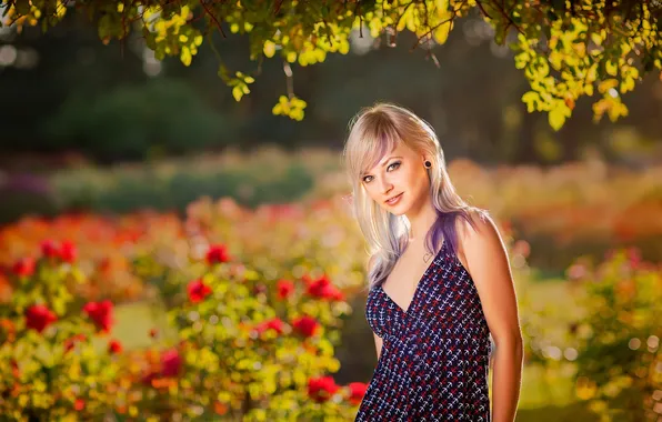 Look, portrait, bokeh