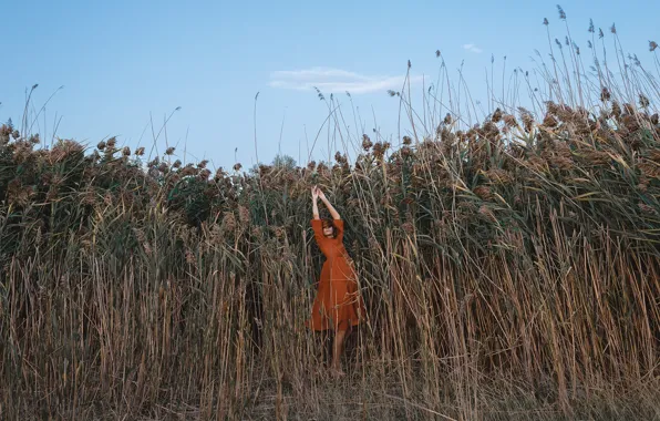 Picture girl, nature, reed