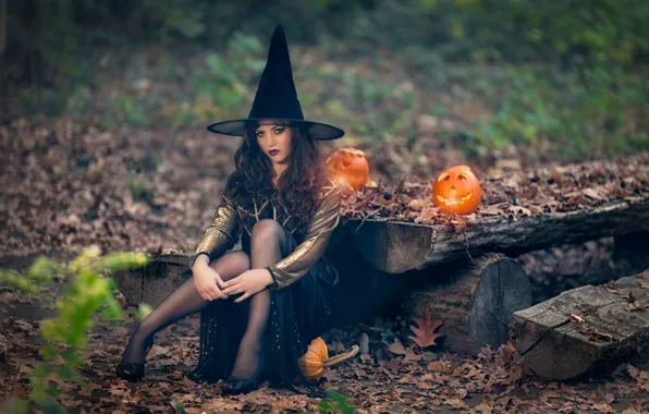 Pumpkin, Halloween, witch, the witch