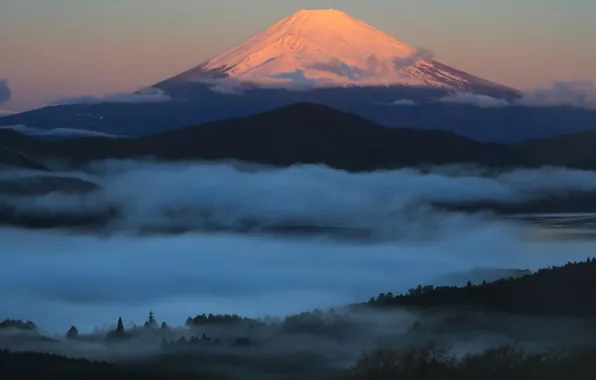 Forest, the sky, clouds, landscape, mountains, hills, mountain, the volcano