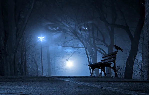 Road, autumn, eyes, look, light, trees, bench, night