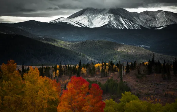Picture snow, mountains, trees, tops, view, hills, snow, autumn