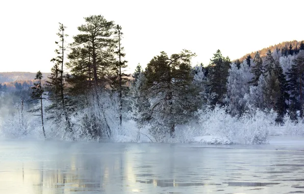 Winter, landscape, lake