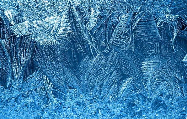 Winter, snowflakes, pattern, frost