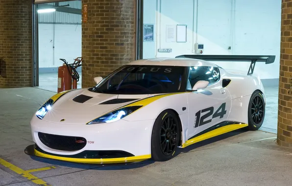 Picture night, Lotus, Lotus, Evora, night, boxes, the front part, in Evora