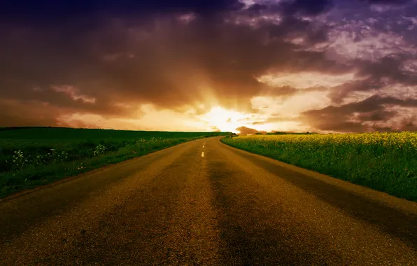 Road, field, the sky, the way, Wallpaper, landscapes, field, road