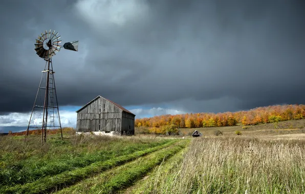 Field, autumn, landscape, house, windmill