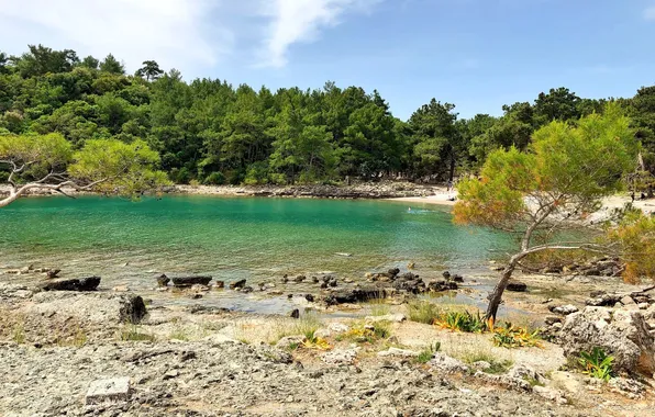 Sea, trees, stones, coast, Bay, Turkey, Kemer, Phaselis beach