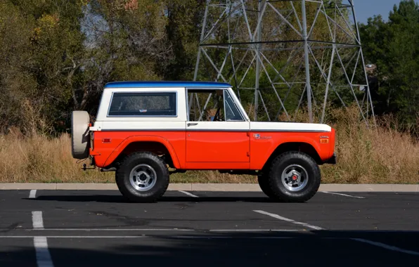 Picture Ford, 1971, in profile, Wagon, Bronco, Baja Edition, Stroppe