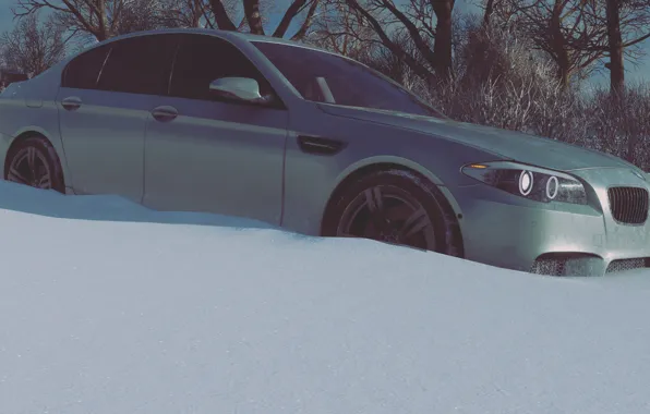 HDR, BMW, Wood, Winter, Tree, Game, F10, 5