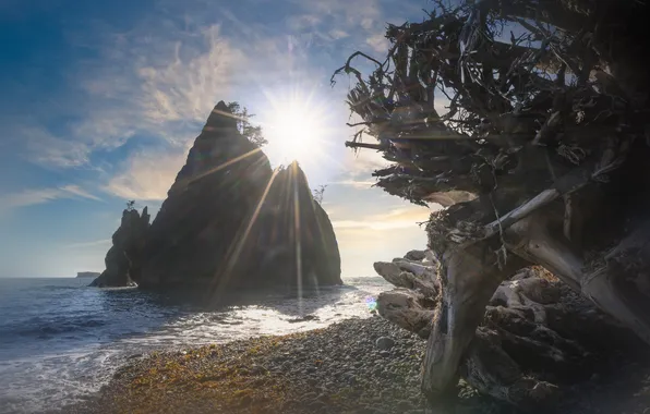 Sea, the sky, rays, light, branches, pebbles, lights, blue