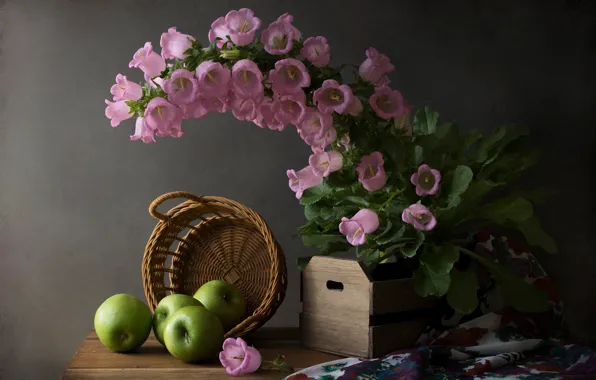 Picture flowers, apples, fabric, fruit, still life, box, bells, basket