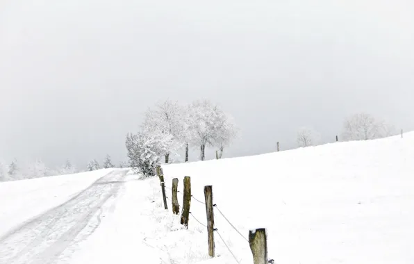 Winter, road, snow, landscape, the fence