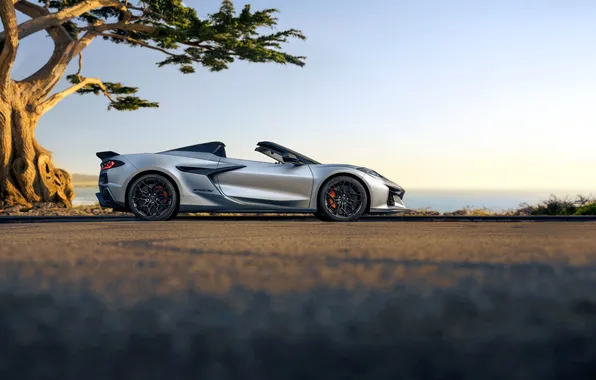 Chevrolet, Convertible, Chevrolet Corvette, Convertible, 2025, 2026, ZR1X, Quail Silver Limited Edition