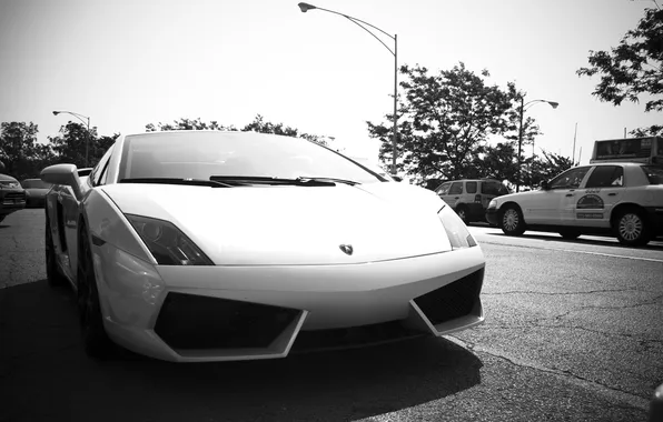 City, the city, photo, movement, cars, auto, wallpapers, Lamborghini Gallardo