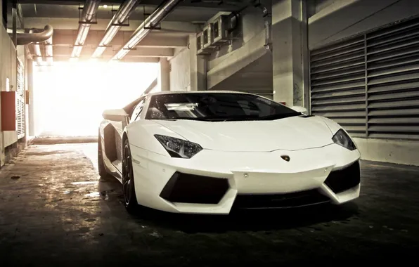 Lamborghini, supercar, white, box, Aventador, garage.
