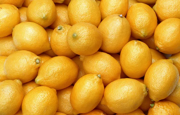 Picture yellow, fruit, lemons