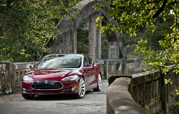 Trees, red, bridge, sedan, the front, Tesla, Tesla, Model