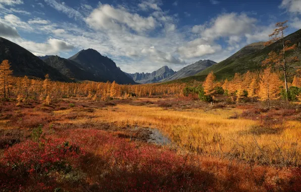 Autumn, forest, the sky, clouds, light, mountains, blue, hills