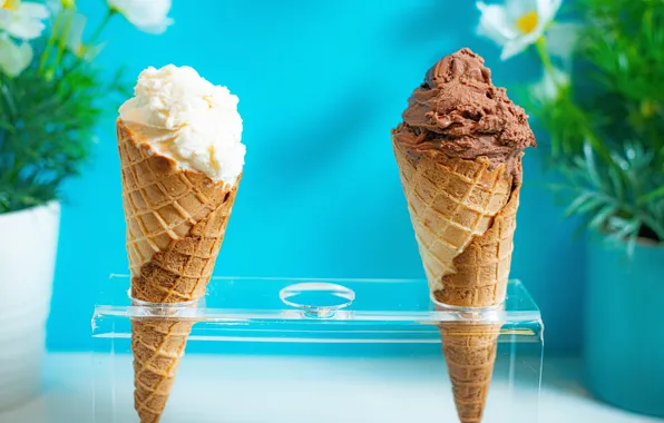 Flowers, ice cream, blue background, horns, chocolate, vanilla