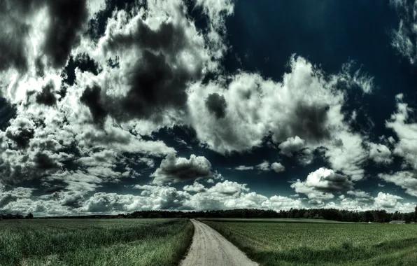 Road, field, landscape, road, nature