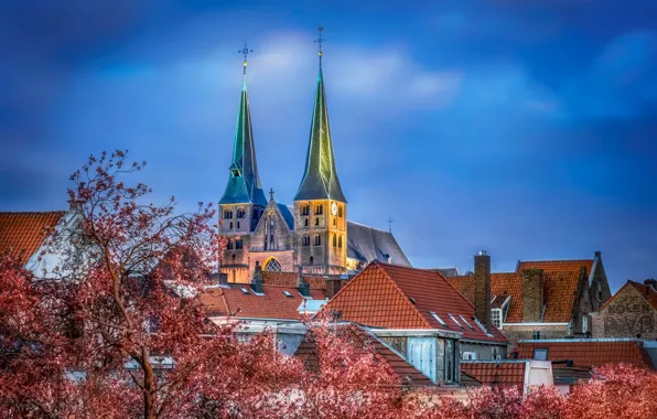 Picture Church, Netherlands, Bergkerk, Saint Nicholas Church