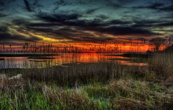The sky, grass, clouds, clouds, lake, plant, glow