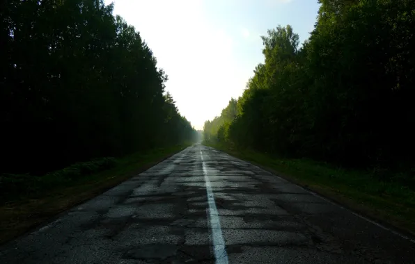 Picture road, forest, nature