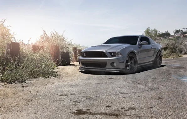 The sky, grey, mustang, Mustang, ford, shelby, Ford, front view