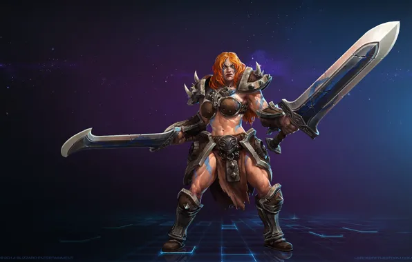 Picture blizzard, swords, diablo 3, barbarian, heroes of the storm