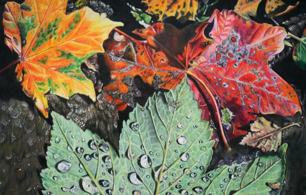 Leaves, drops, foliage, Autumn, painting